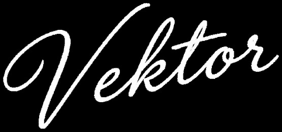 Vektor